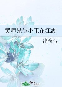 《黄师兄与小王在江湖》
