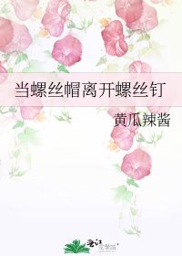 《当螺丝帽离开螺丝钉》