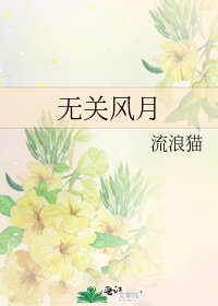 《无关风月》