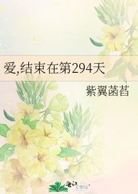 爱,结束在第294天