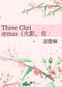 《Three Christmas(火影,佐鸣,短)》