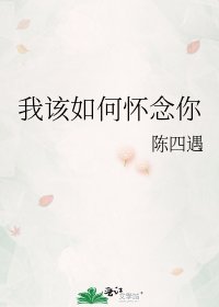 《我该如何怀念你》