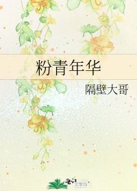 《粉青年华》