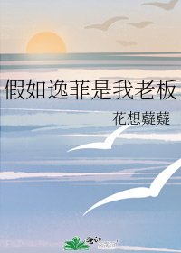 《假如逸菲是我老板》
