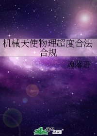 《机械天使物理超度合法合规》