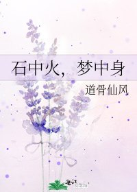 《石中火,梦中身》