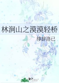 《林涧山之漠漠轻桥》