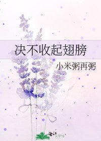 《决不收起翅膀》
