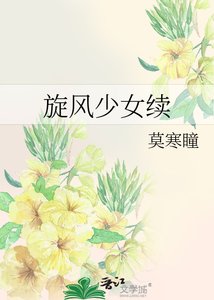 《旋风少女续》