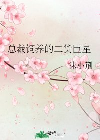 《总裁饲养的二货巨星》