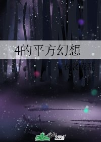 《4的平方幻想》