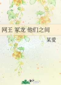 《网王 冢龙 他们之间》