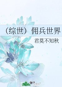 《(综世)佣兵世界》