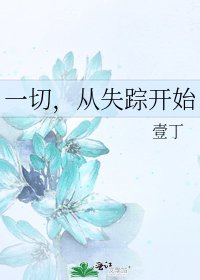 《一切,从失踪开始》