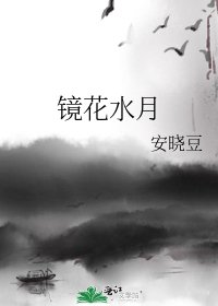 镜花水月