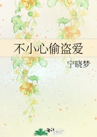 《不小心偷盗爱》