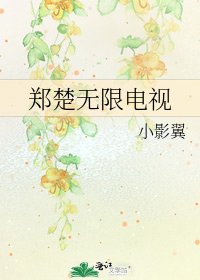 《郑楚无限电视》