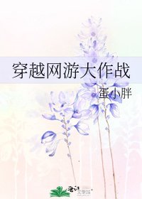 《穿越网游大作战》