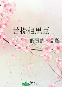 《菩提相思豆》