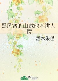《黑风寨的山贼他不讲人情》