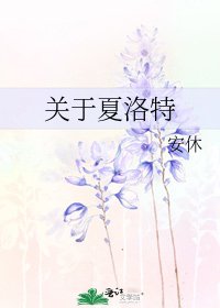 《关于夏洛特》