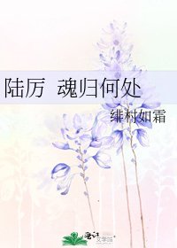 《陆厉 魂归何处》
