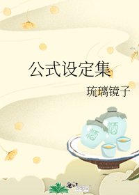 《公式设定集》