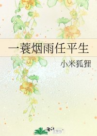 一蓑烟雨任平生