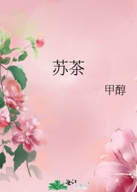 《苏茶》