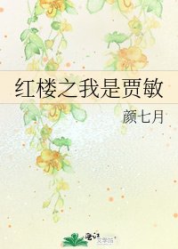 《红楼之我是贾敏》