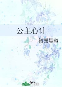 《公主心计》