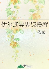 《伊尔迷异界综漫游》