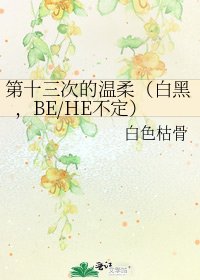 《第十三次的温柔(白黑,BE/HE不定)》