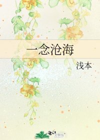 《一念沧海》