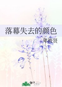 《落幕失去的颜色》