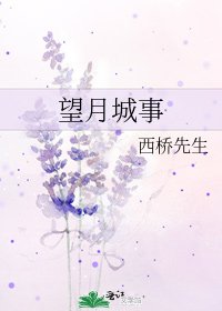 《望月城事》