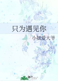 只为遇见你