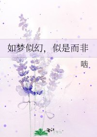 《如梦似幻,似是而非》