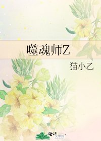 噬魂师Z