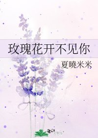 《玫瑰花开不见你》
