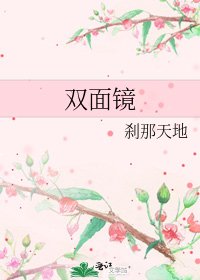 《双面镜》