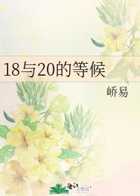 18与20的等候