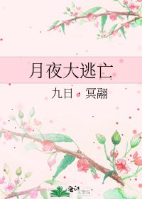 《月夜大逃亡》