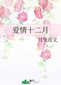 《爱情十二月》