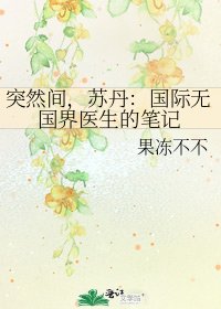 《突然间,苏丹:国际无国界医生的笔记》