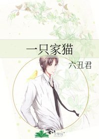 《一只家猫》