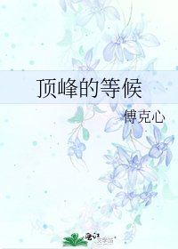 《顶峰的等候》