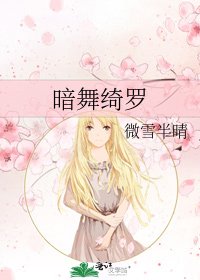 《暗舞绮罗》