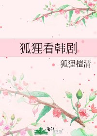 《狐狸看韩剧》