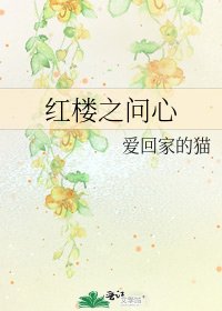 《红楼之问心》